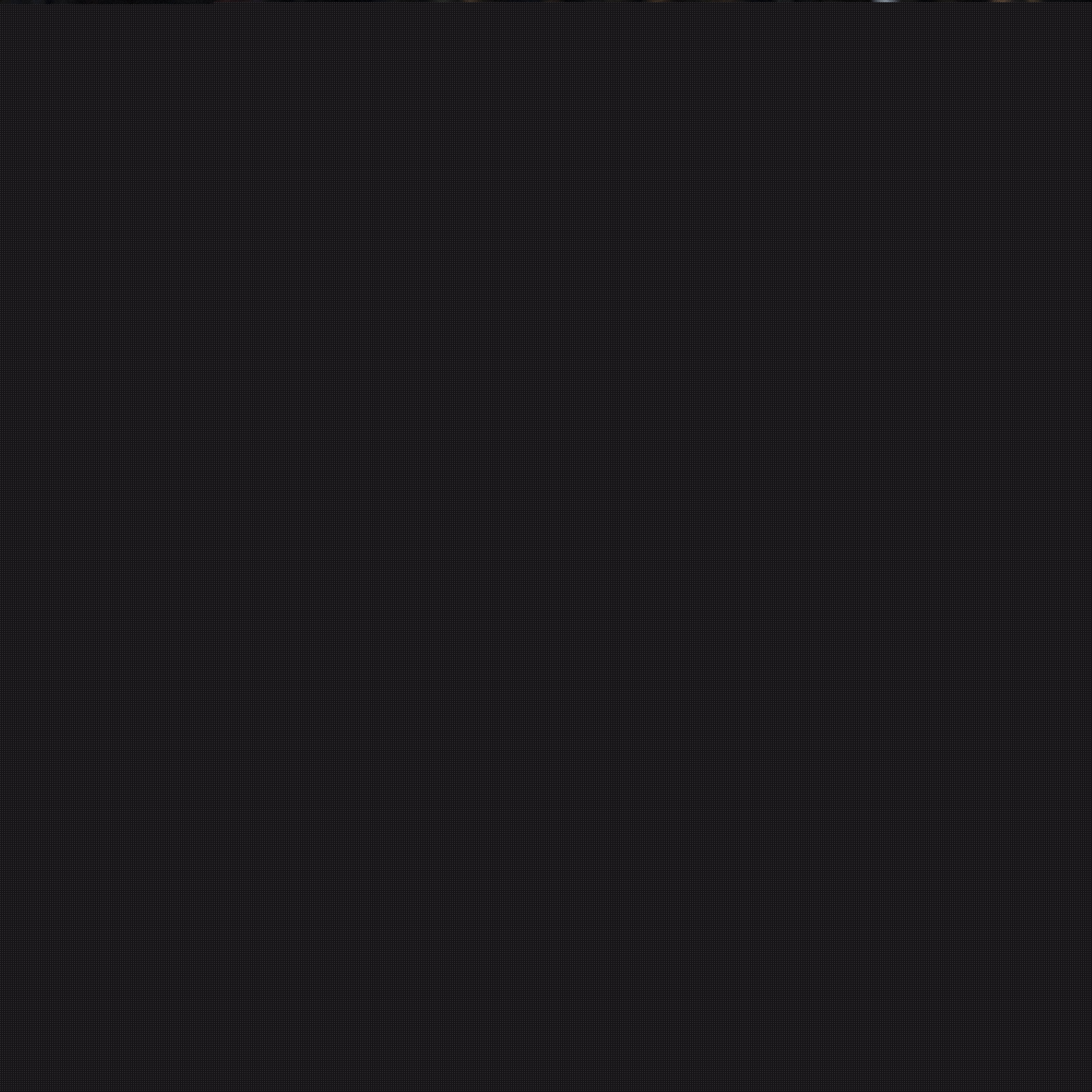 赛的亮点